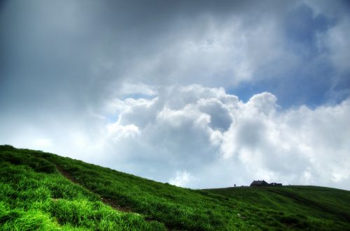 white cloud mountain tree