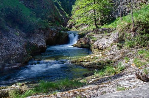 white creek canyon water waterfall