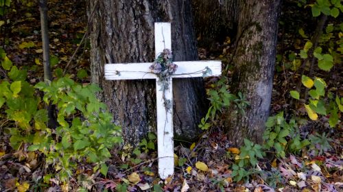 White Cross Against Tree