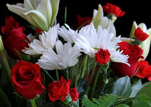 white daisys red carnations red roses