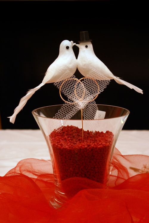 white doves wedding decoration
