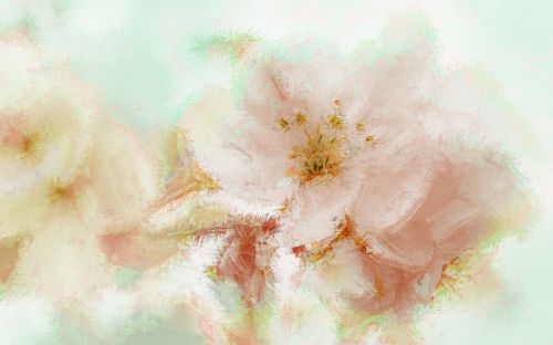 white flowers painting art