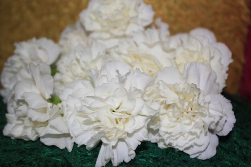 White Flowers Bouquet