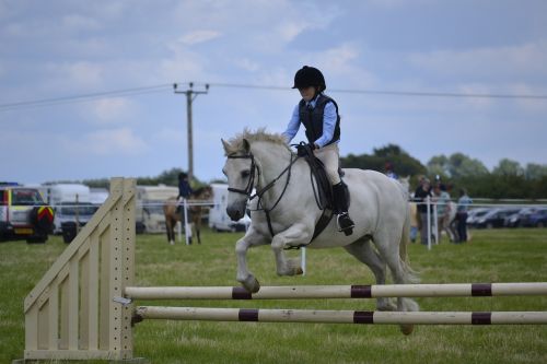 white horse jumping child