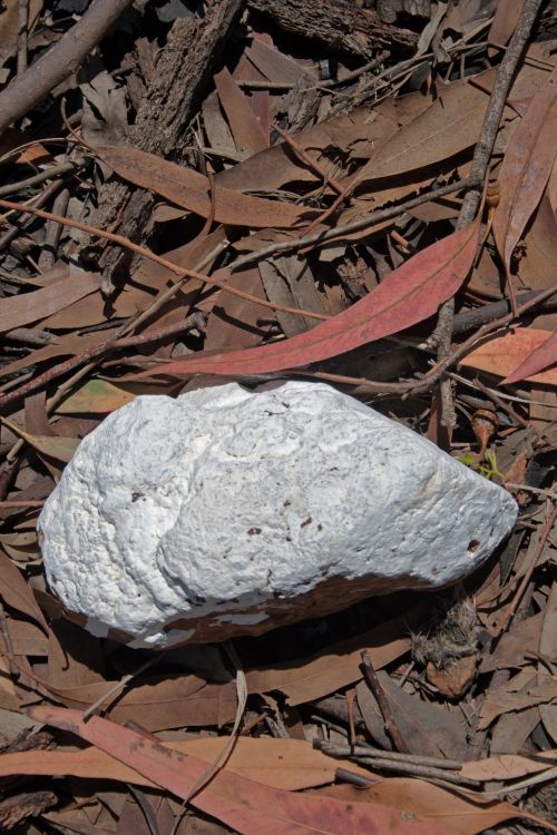 White Marker Stone