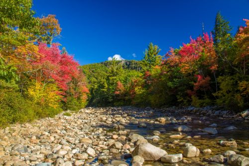 White Mountains Autumn