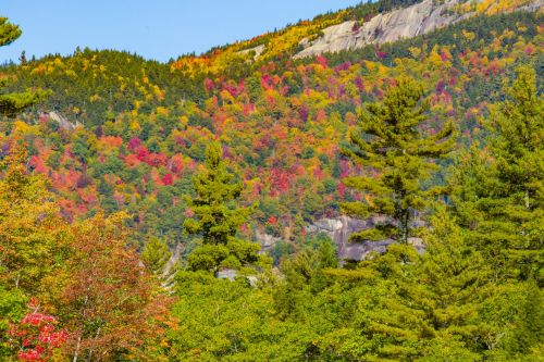 White Mountains Autumn