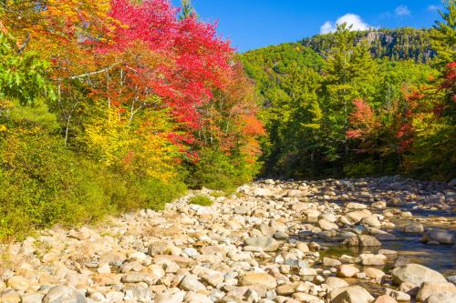 White Mountains Autumn