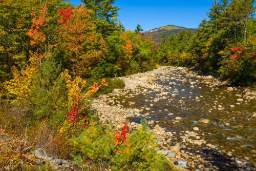 White Mountains Autumn