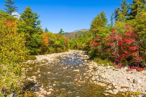 White Mountains Autumn