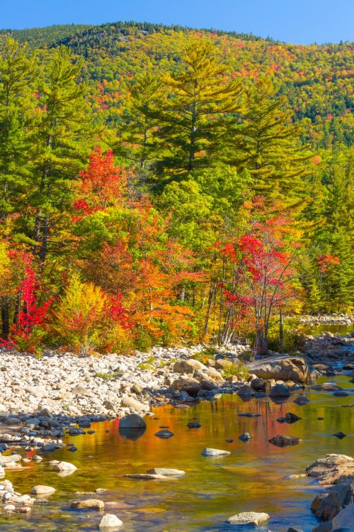 White Mountains Autumn