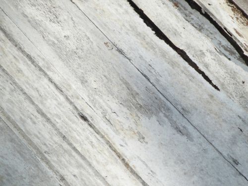White Painted Wood Texture