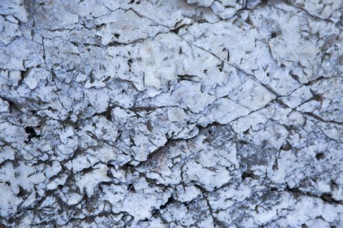 White Quartz Rocks