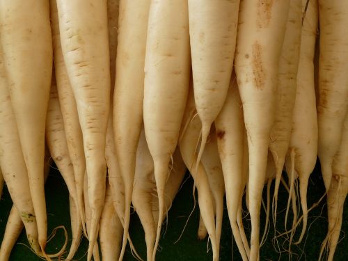 white radish radish vegetables