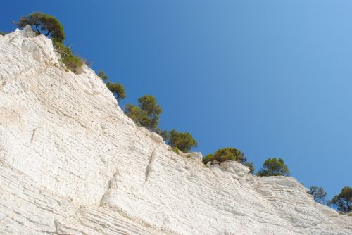 white rocks rock plants heaven