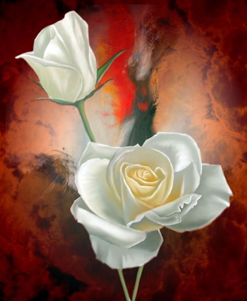 white rose background old