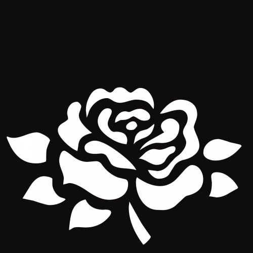 animated rose black and white