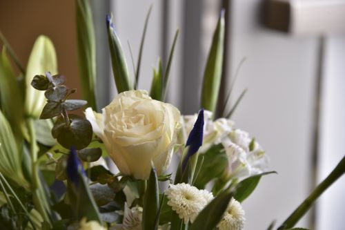 White Roses Bouquet