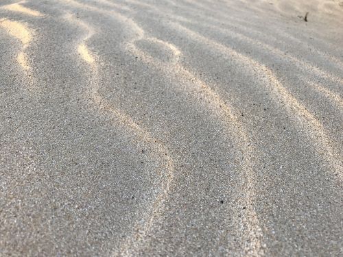 white sand ripples sand