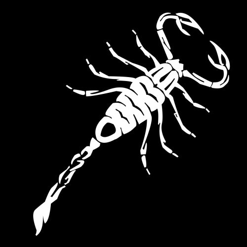 White Scorpion