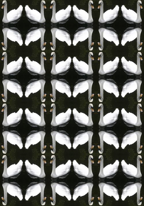 White Swan Repeat Pattern