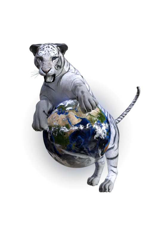 white tiger tiger globe