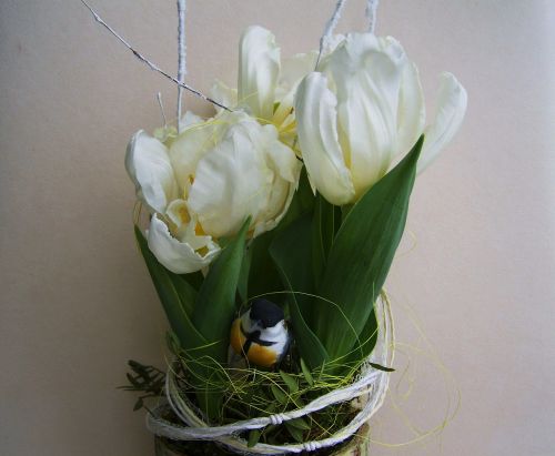 white tulips bulbous plant spring flower