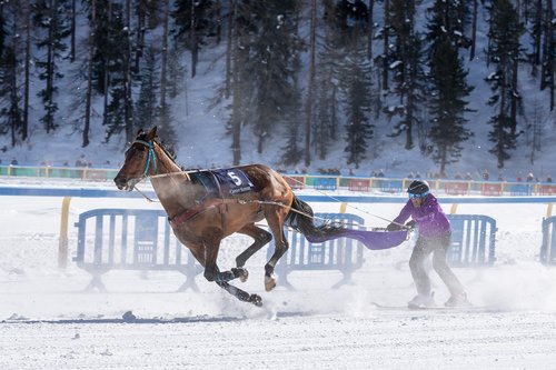white turf  horse racing  ice