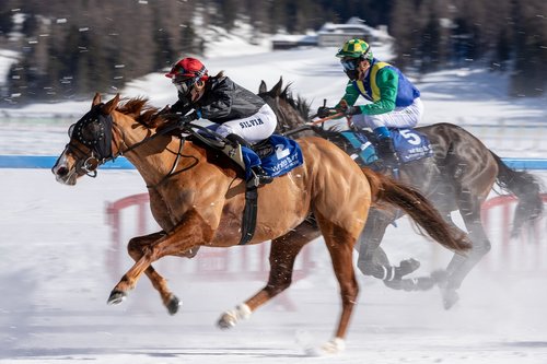 white turf  horse racing  ice