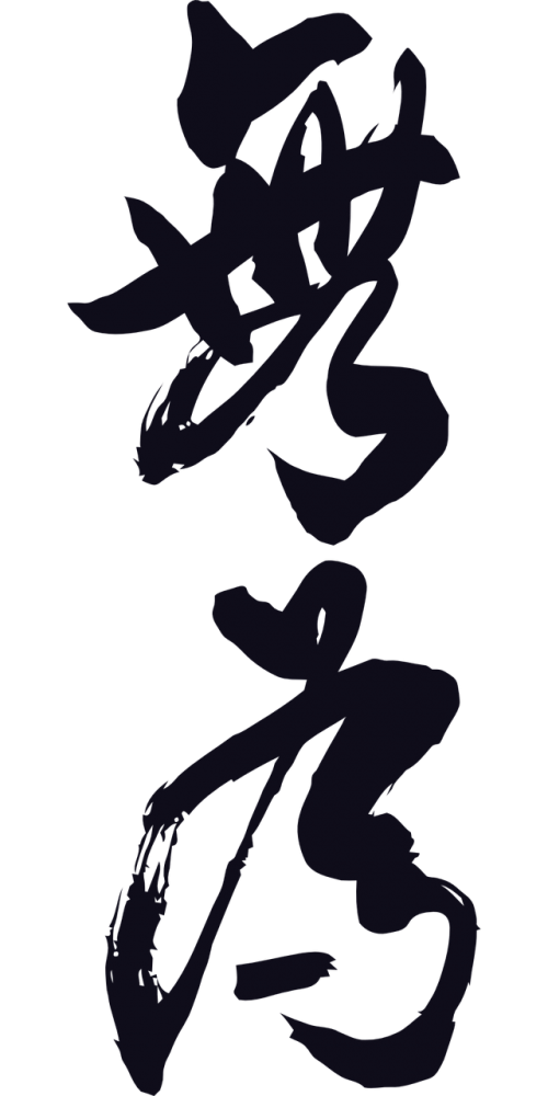 why can't calligraphy vector