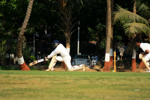 wicketkeeper cricket batsman