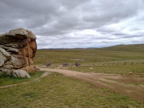 wide mongolia dare
