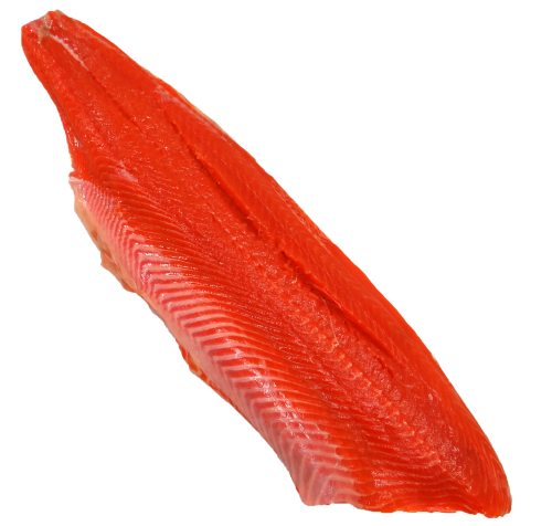 wild sockeye salmon