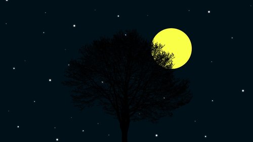 wild  night  moon