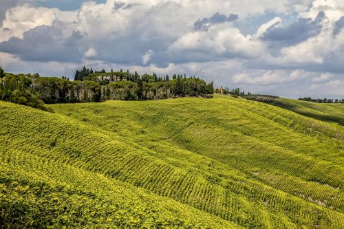 wild outdoors landscape