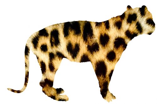 Wild Cat Cut-Out