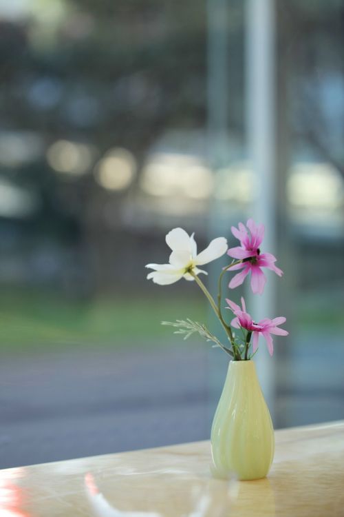 wild flowers vase still life