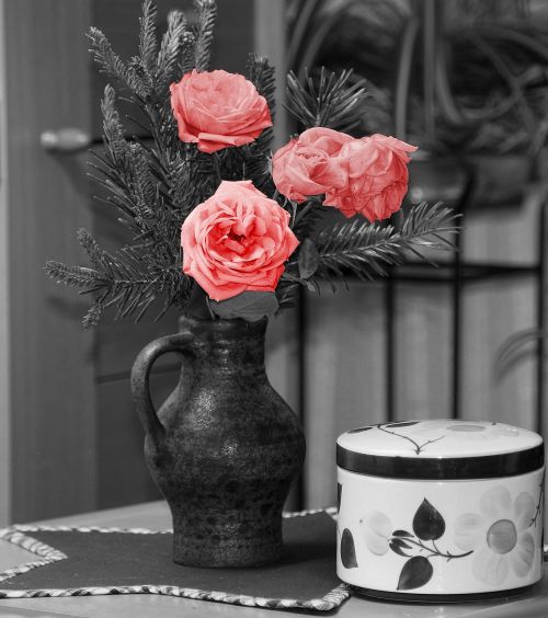 wild rose flower vase flowers