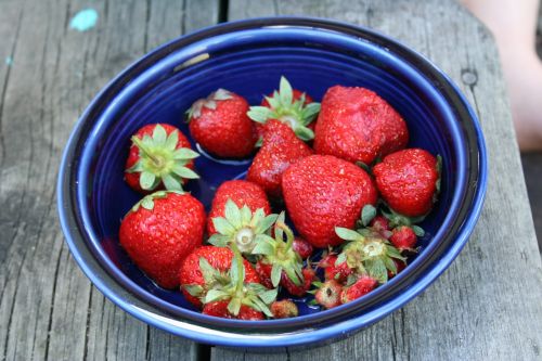 wild strawberries blue bowl blue