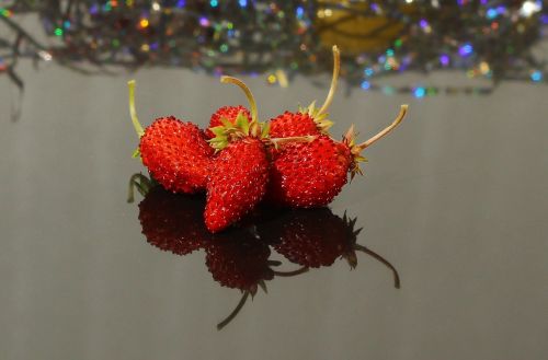 wild strawberry berry the strawberries