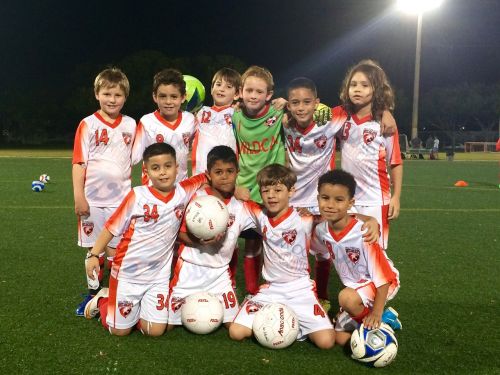 wildcats hollywood wildcats soccer team