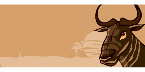 wildebeest horns animal