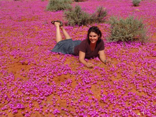 wildflowers woman outback