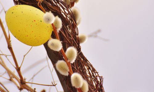 willow catkin spring easter egg