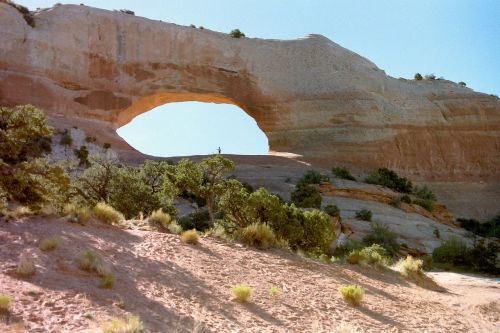 wilson's arch rock formation
