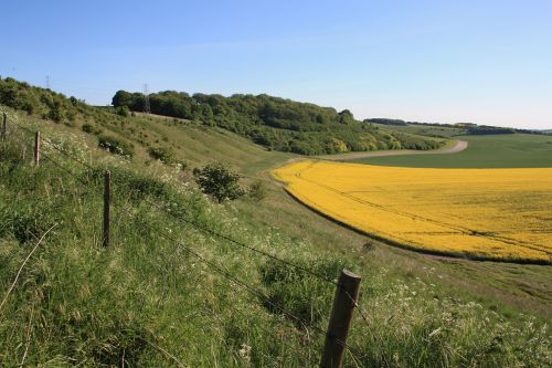 wiltshire down land rape