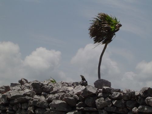 wind landscape sky