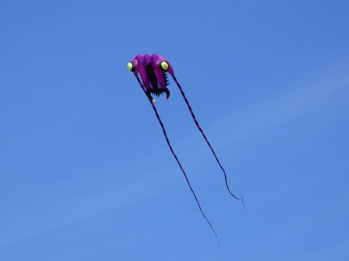 wind dragon dragon kite flying