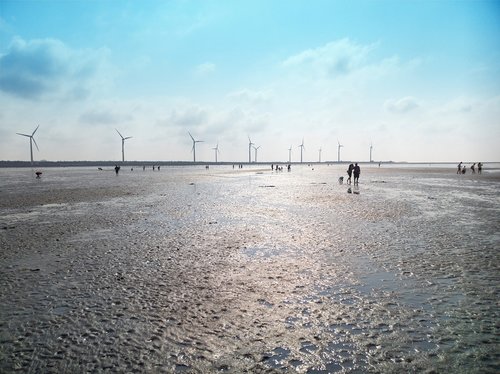 wind energy  taichung  wetlands
