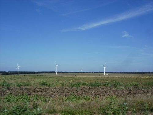 wind farm electricity wind turbines
